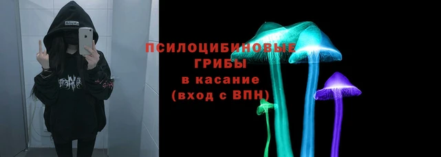 apvp Алзамай