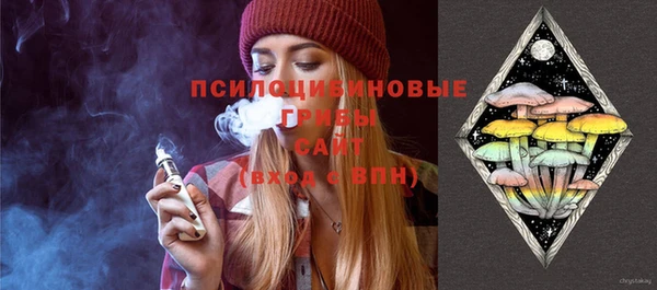 мдпв Новодвинск