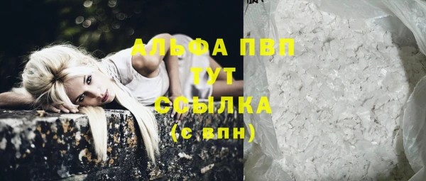 прущие крисы Новозыбков