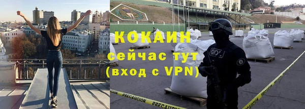прущие крисы Новозыбков