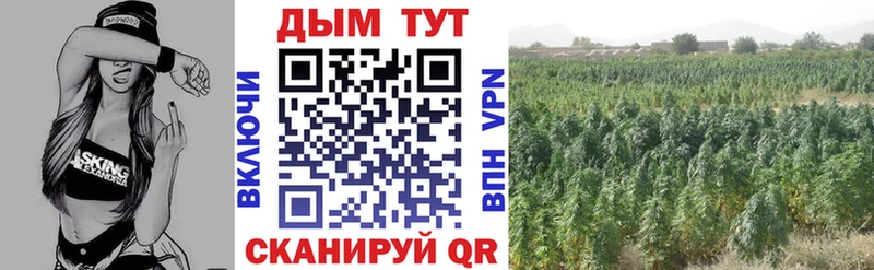 Бошки марихуана индика shop клад Уяр МЕГА